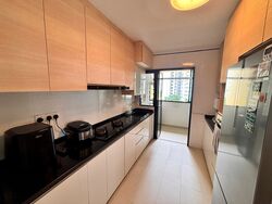 Northshore Drive (Punggol), Multi Generation #613597551